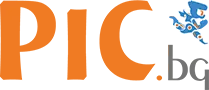 PIC computer - Logo